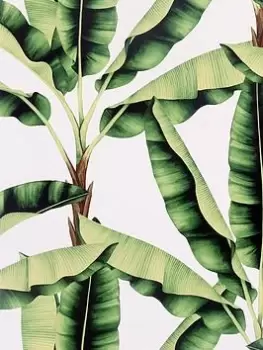 Image of Arthouse Musa Green Wallpaper