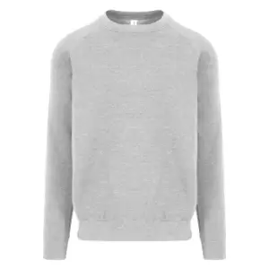 Image of AWDis Just Hoods Mens Graduate Heavyweight Sweatshirt (M) (Heather Grey)