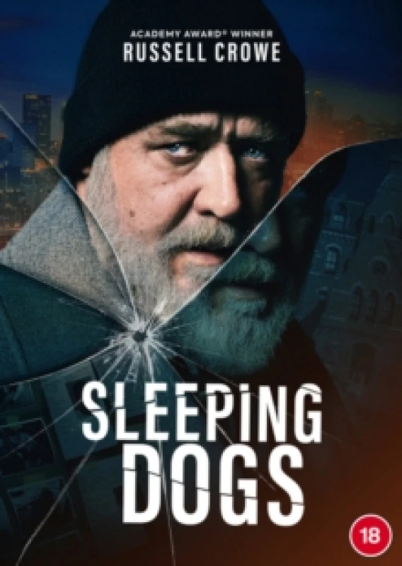 Image of Sleeping Dogs DVD