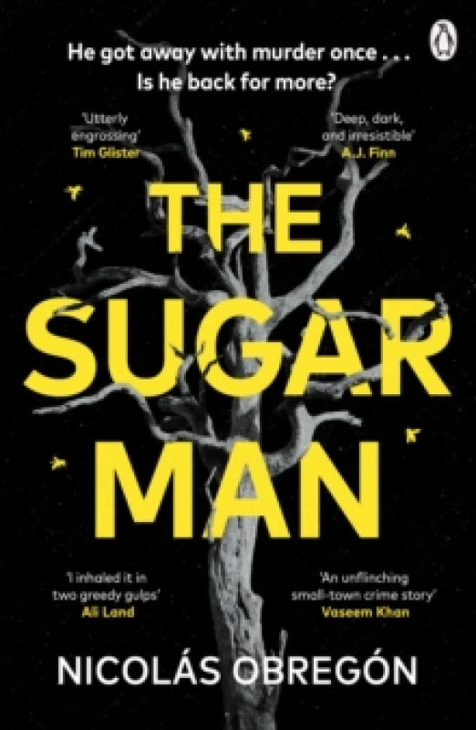 Image of The Sugar Man Paperback / softback