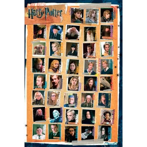 Image of Harry Potter 7 Characters Maxi Poster