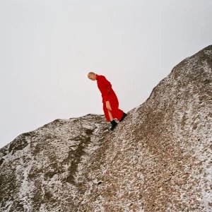 Image of Cate Le Bon - Reward Vinyl