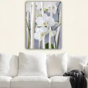 Image of 288791672_70100 Multicolor Decorative Canvas Painting