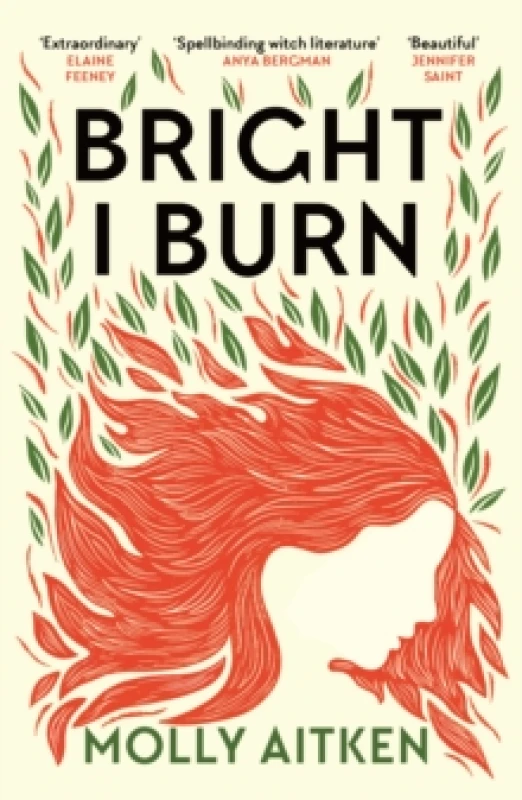 Image of Bright I Burn Paperback / softback