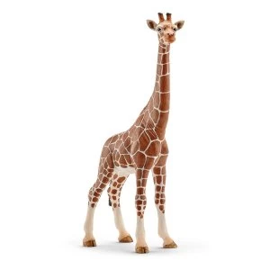 Image of Schleich Wild Life - Female Giraffe Figure