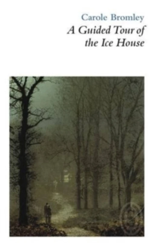 Image of A Guided Tour of the Ice House Paperback / softback