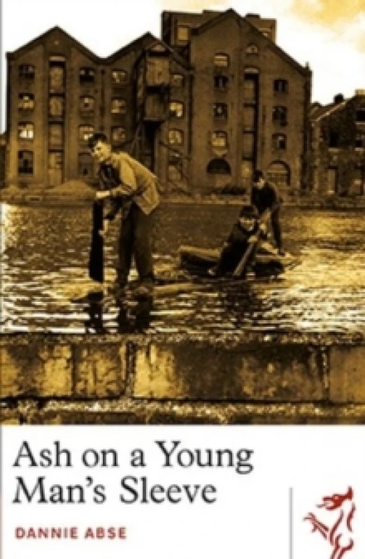 Image of Ash on a Young Man's Sleeve Paperback / softback