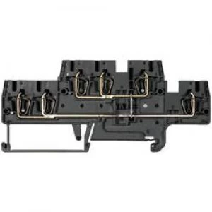 Image of Wieland 56.703.5955.1 WKFN 25 E12VB35 Schwarz 0.13 4 mm2 Black