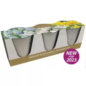 Image of YouGarden Indoor Spring Flower Trio - Multi