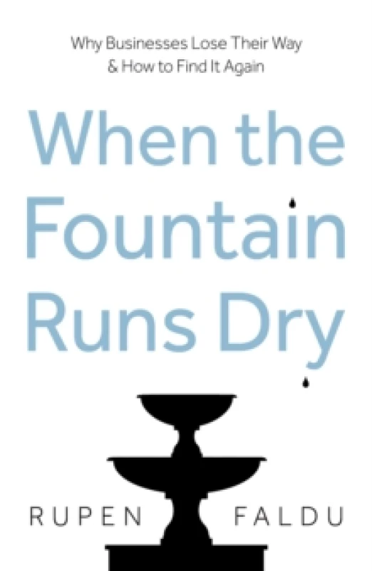 Image of When the Fountain Runs Dry : Why Businesses Lose Their Way & How to Find It Again Paperback / softback