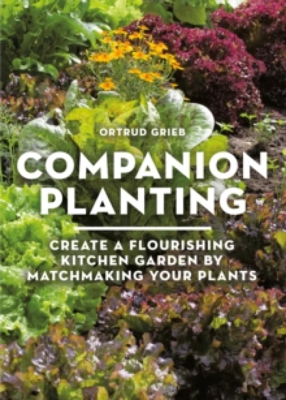 Image of Companion Planting : Create a Flourishing Kitchen Garden By Matchmaking Your Plants Paperback / softback