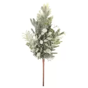 Image of Frosted Eucalyptus And Fern Sprig