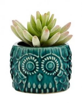 Image of Premier Housewares Small Succulent In Blue Ceramic Owl Pot
