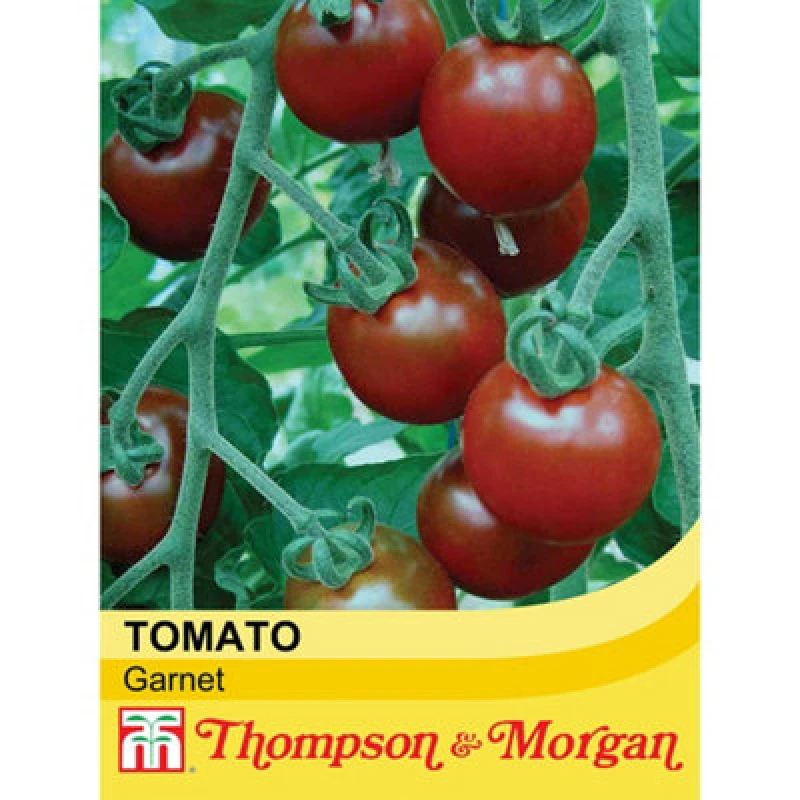 Image of Thompson & Morgan Tomato Garnet 1 Seed Packet (6 Seeds)