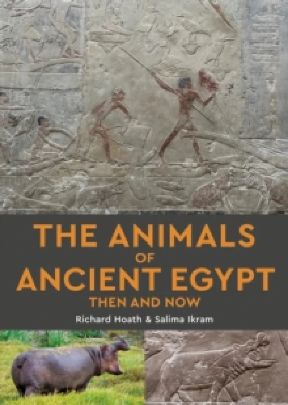 Image of The Animals of Ancient Egypt Then and Now Paperback / softback