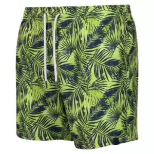 Image of Regatta Loras Swim Short - ShpGrnPlmPrn