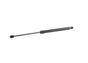 Image of RIDEX Tailgate strut both sides 219G0891 Gas spring, boot- / cargo area,Boot struts RENAULT,MODUS / GRAND MODUS (F/JP0_)