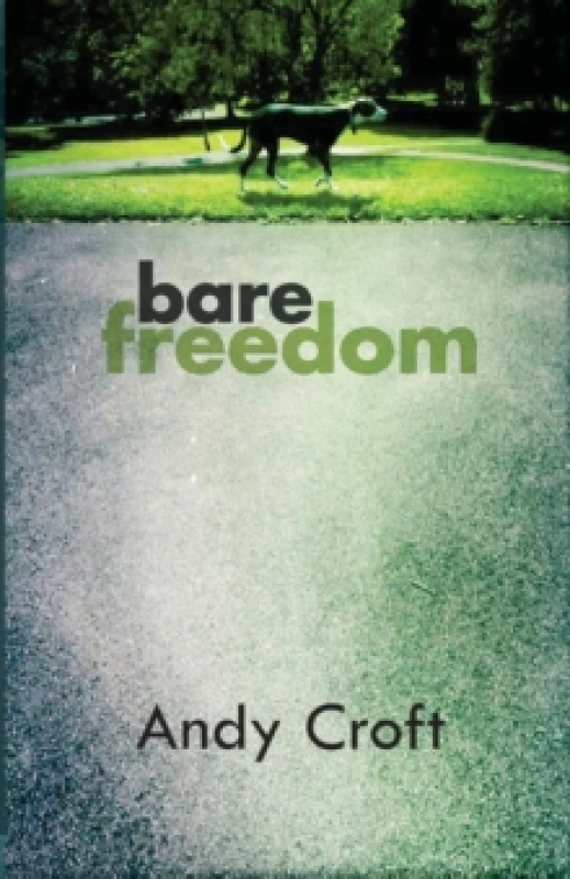 Image of Bare Freedom : How do you stay straight when the system is stacked against you? Paperback / softback