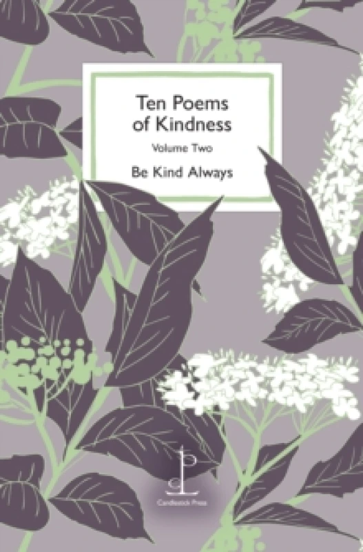 Image of Ten Poems of Kindness : Volume Two Paperback / softback