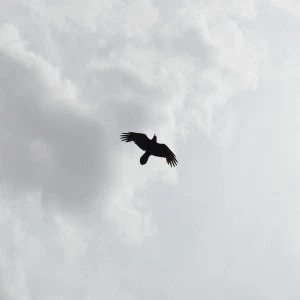 Image of Moon Bros. - These Stars Vinyl