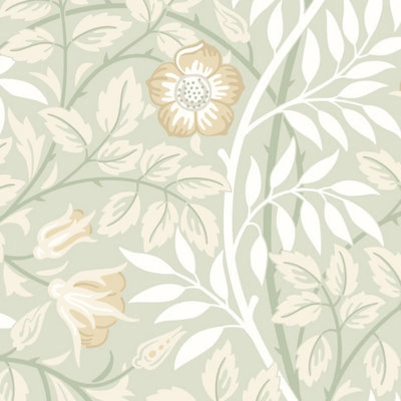 Image of Hoopla Walls Rosehip Trail Sage Green Smooth Matt Wallpaper