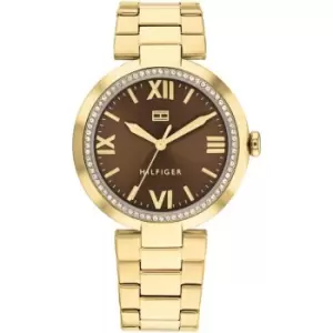 Image of Tommy Hilfiger Ladies Tommy Hilfiger Gold Plated Watch - Gold and Brown