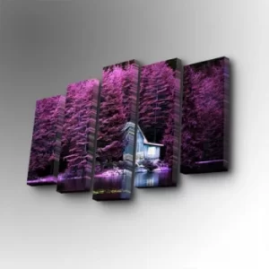 Image of 5PUC-104 Multicolor Decorative Canvas Painting (5 Pieces)
