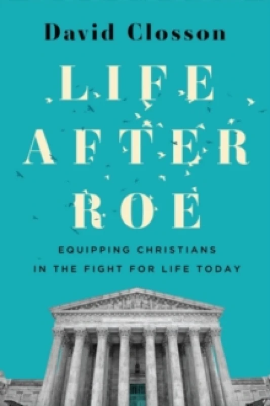 Image of Life After Roe Paperback / softback