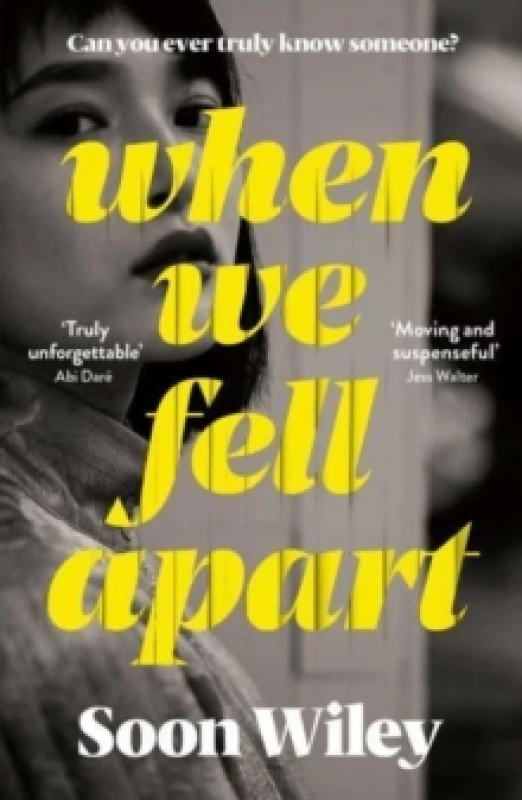 Image of When We Fell Apart : 'Truly unforgettable' Abi Dare Paperback / softback