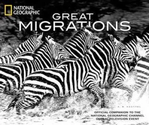 Image of Great Migrations by Karen Kostyal Hardback