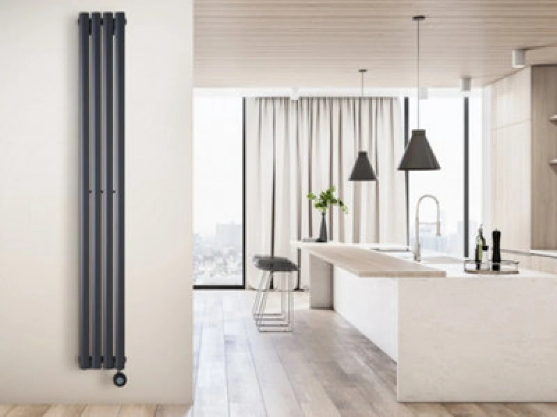 Image of Eden Teppra 1200W Electric Vertical Radiator In Anthracite With Smart WiFi Control