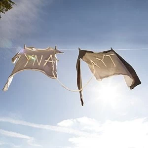 Image of Sorority Noise - YNAAYT Vinyl