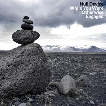 Image of Null Device - While You Were Otherwise Engaged CD