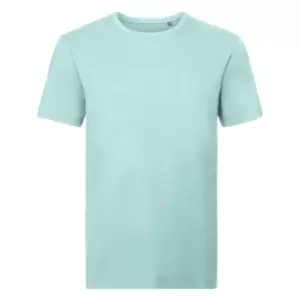 Image of Russell Mens Authentic Pure Organic T-Shirt (M) (Aqua)