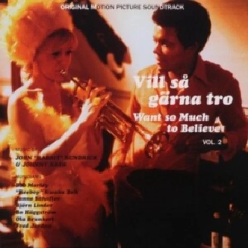 Image of Vill Sa Garna Tro - Want So Much to Believe Vol. 2 Vinyl