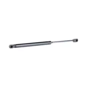 Image of RIDEX Tailgate strut MINI 219G0718 51247233186,51242755714,51247167442 51247233186