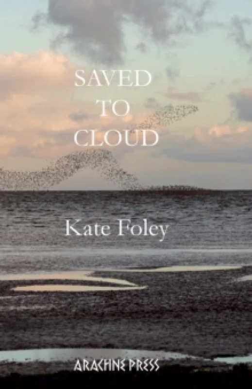 Image of Saved to Cloud Paperback / softback