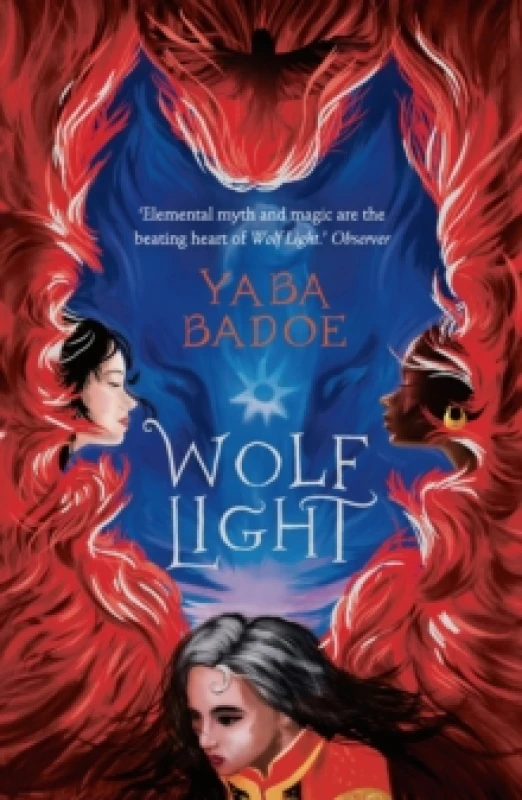 Image of Yaba Badoe Wolf Light Book Multi unisex