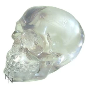 Image of Transparent Skull