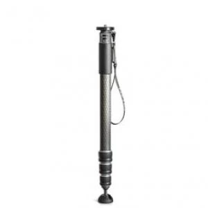 Image of Gitzo GM4542 Monopod
