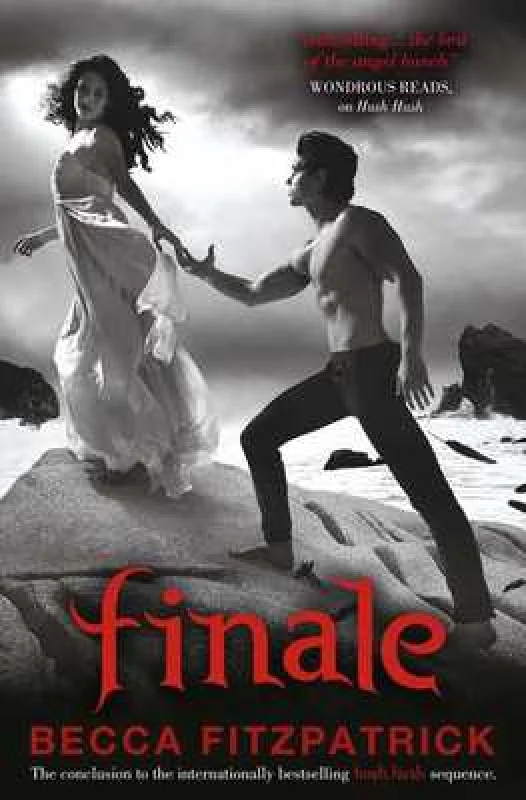 Image of Becca Fitzpatrick Finale Book Multi unisex
