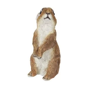 Image of Naturecraft Collection - Rabbit Figurine