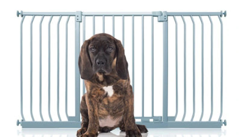 Image of Bettacare Elite Pressure Dog Gate, 143Cm - 152Cm, Matt Grey, Pressure Fit Pet Gate For Dog And Puppy