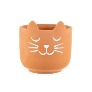 Image of Sass & Belle Cat's Whiskers Terracotta Planter