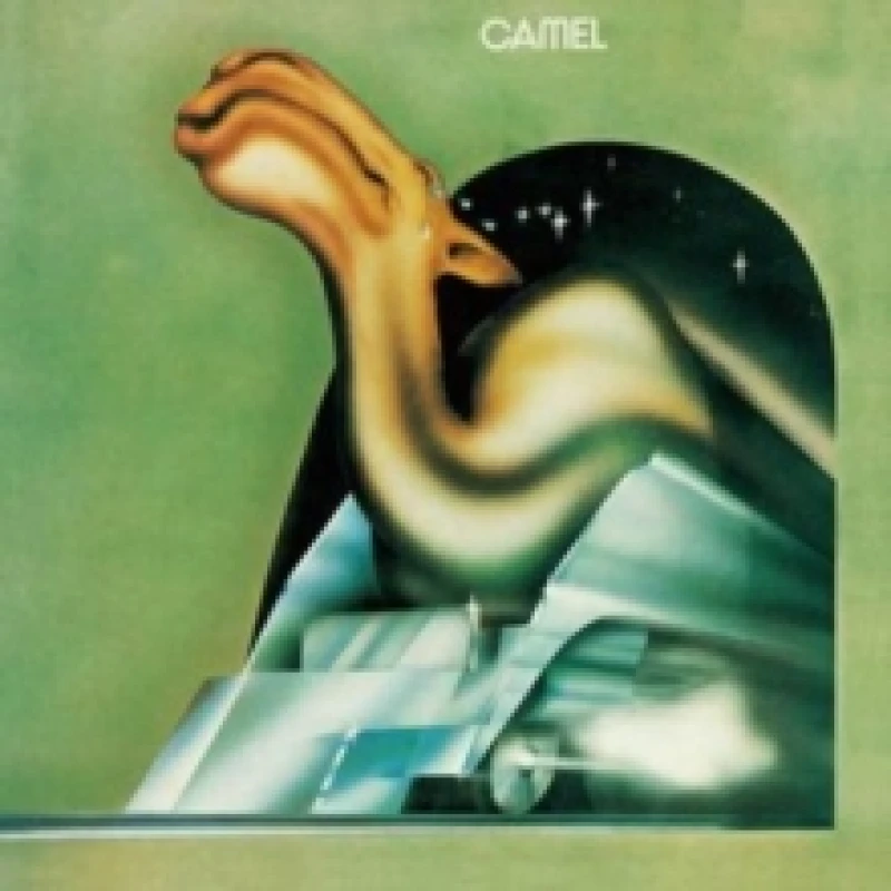 Image of Camel Vinyl