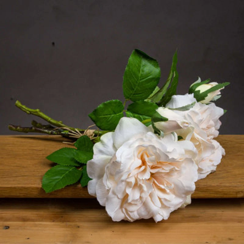 Image of Hill Interiors Peachy Cream Short Stem Rose Bouquet