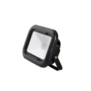 Image of Robus Remy Black 10W LED Flood Light with Junction Box - Cool White