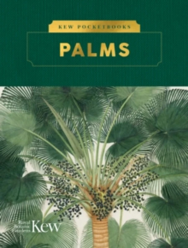 Image of Kew Pocketbooks: Palms Hardback