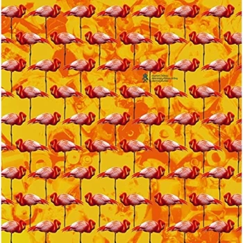 Image of Elephant Chateau - Lp-Elephant Chateau-Dreamings & Offshore Drilling Vinyl