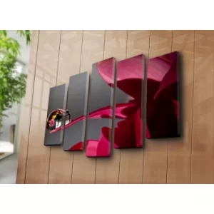 Image of 5PATK-123 Multicolor Decorative Canvas Painting (5 Pieces)